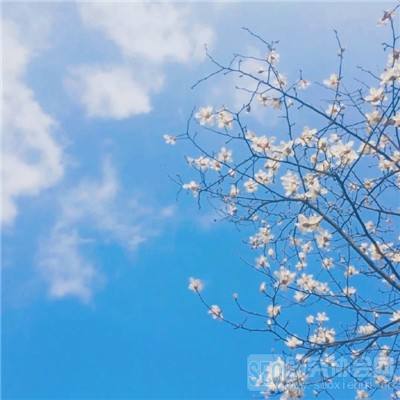 铁血勇士大战僵尸手游(暂未上线)v1.3 安卓版